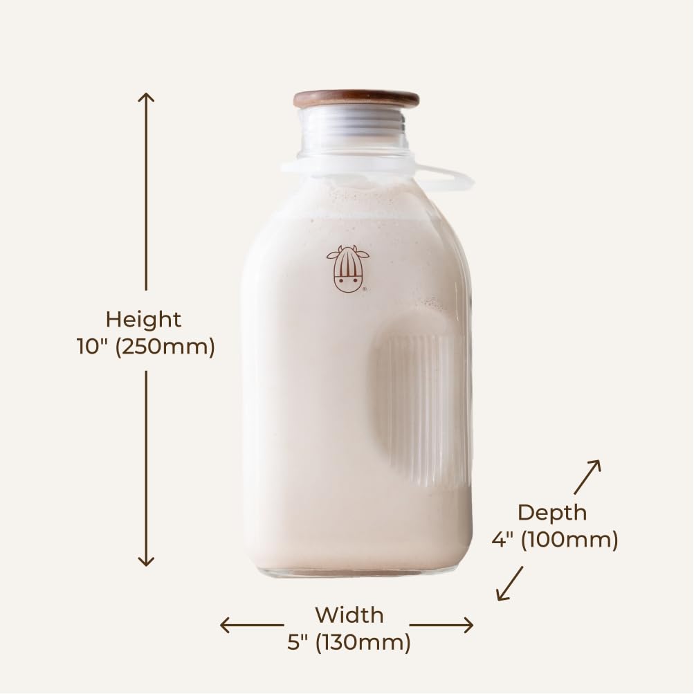 Almond Cow - Glass Pitcher with Lid and Spout, Glass Bottle Milk Container for Refrigerator, Clear Milk Jar Bottles, Food-Grade Liquid Container - 60 fl oz Capacity, 5 x 4 x 10 Inches