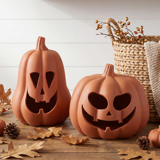 2 Pack Fall Terracotta Pumpkins