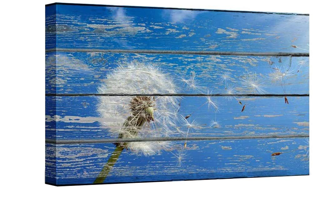 Horse Canvas Art Wall Decor