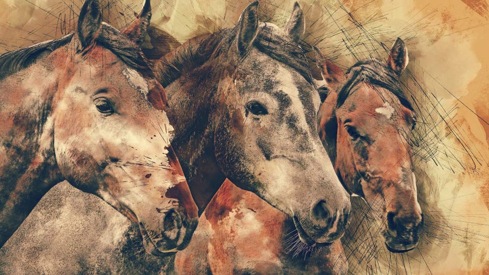 Horse Canvas Art Wall Decor