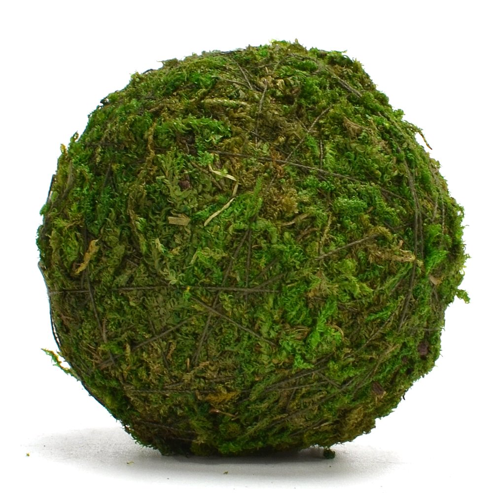 BYHER Natural Green Moss Decorative Ball,Handmade (3.5"-Set of 6)
