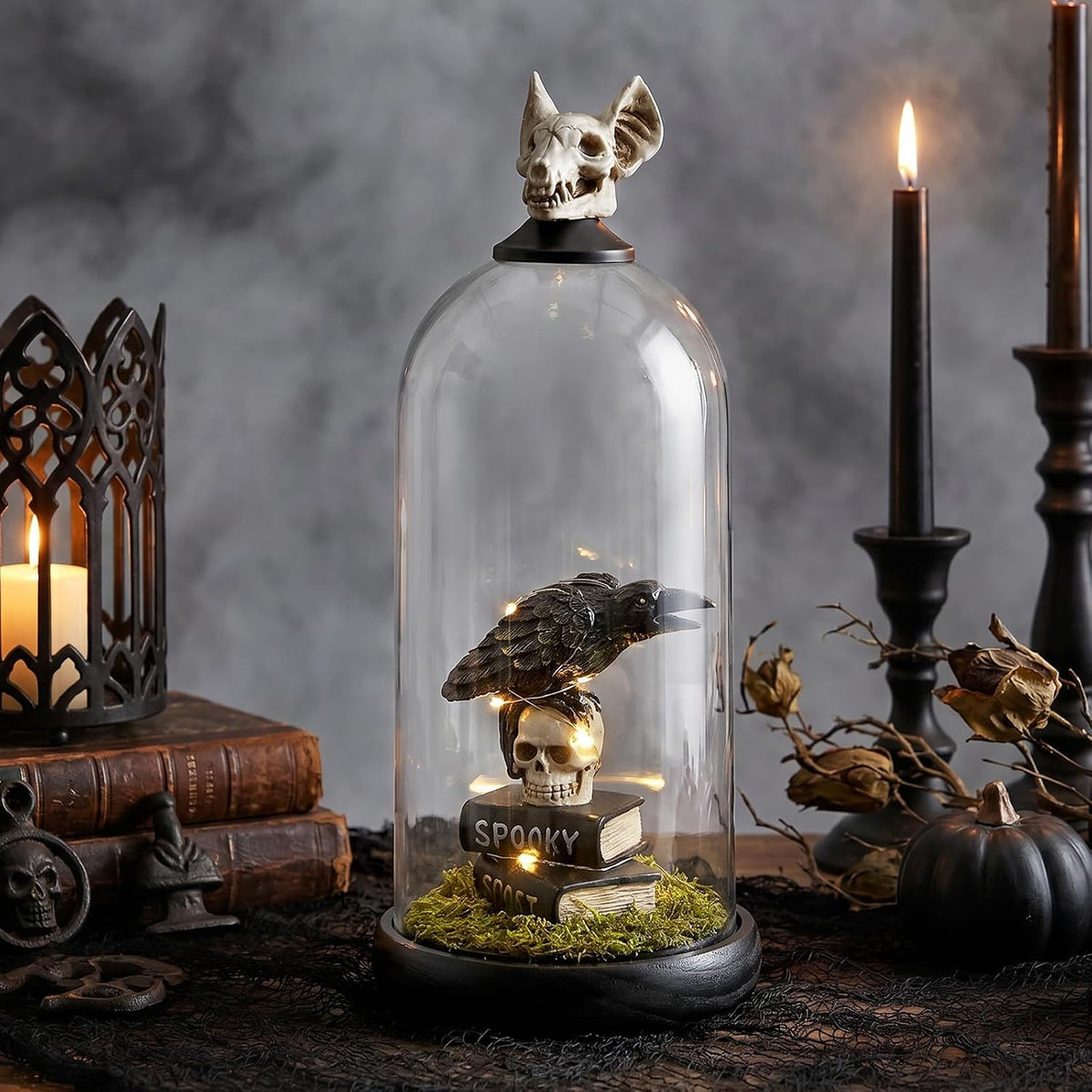Raven On Skull in Dome Decor