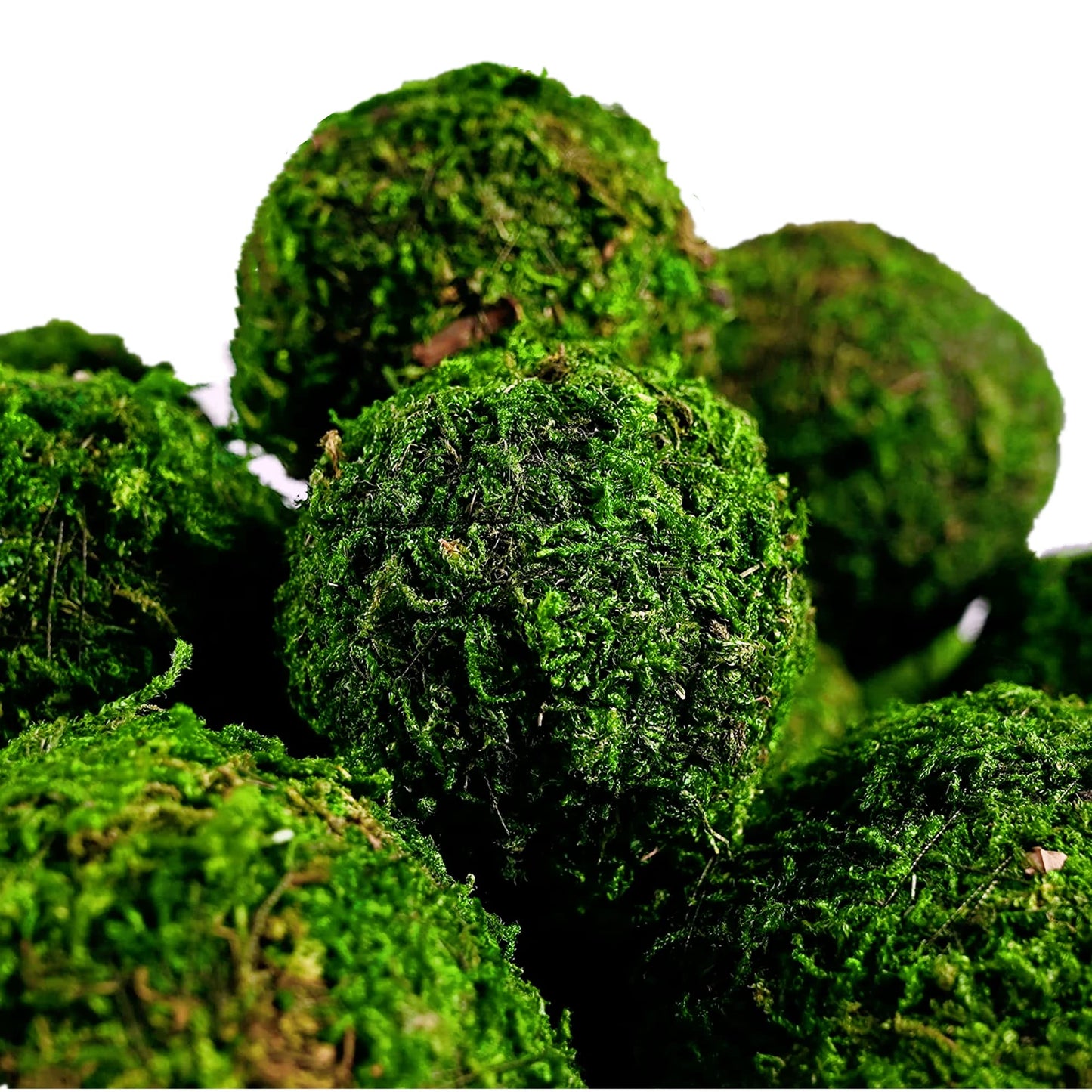 BYHER Natural Green Moss Decorative Ball,Handmade (3.5"-Set of 6)