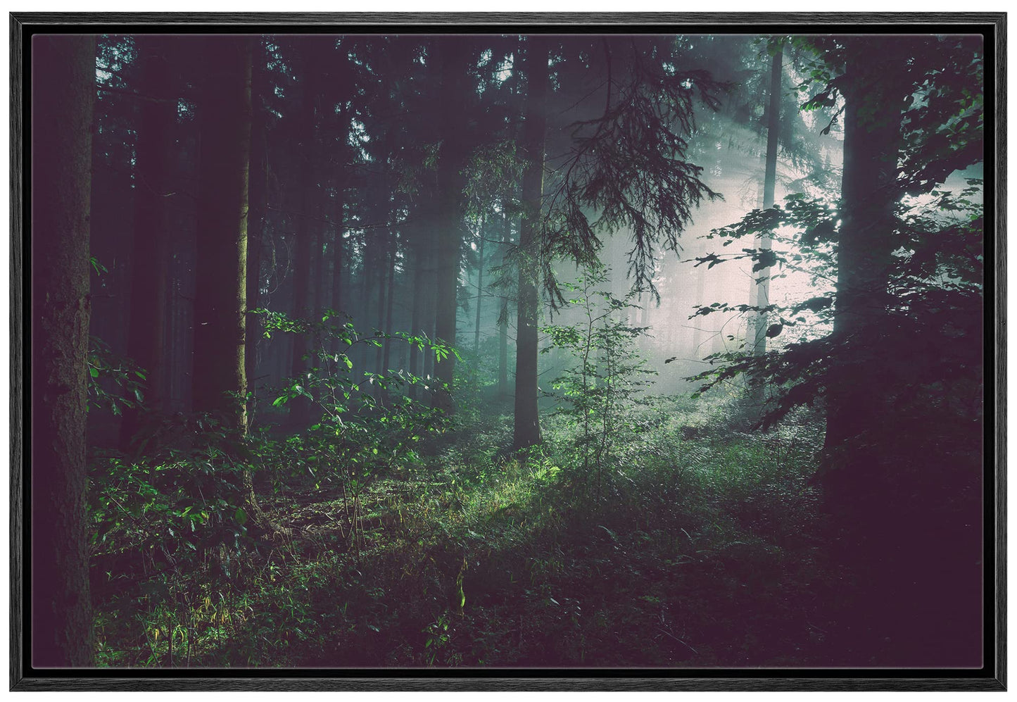 26 Fall Framed Canvas Wall Print