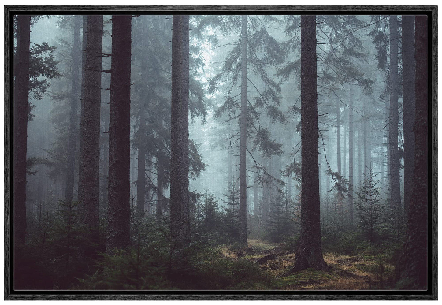 26 Fall Framed Canvas Wall Print