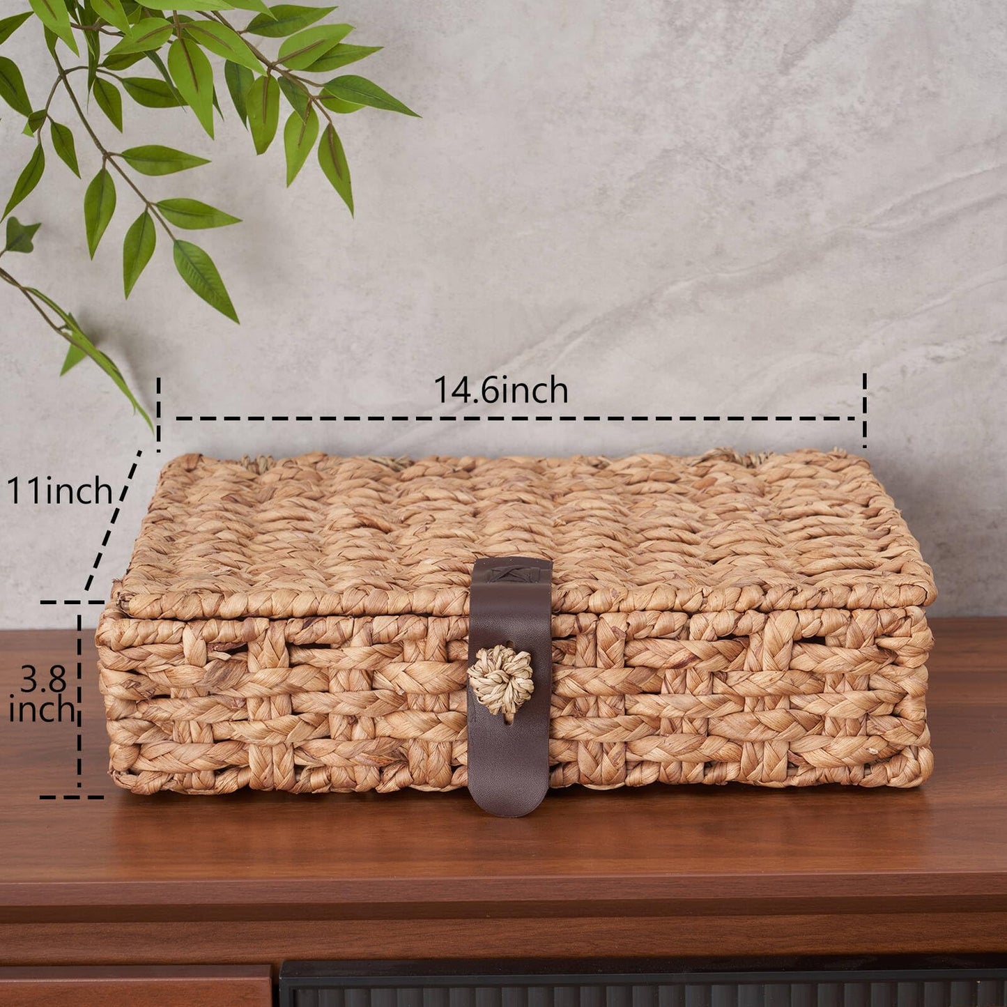 Decorative Box with Lid, Wicker Storage Basket, Water Hyacinth Woven Decorative box for Shelf, Coffee Table, Console Table, Home Decor (Large)