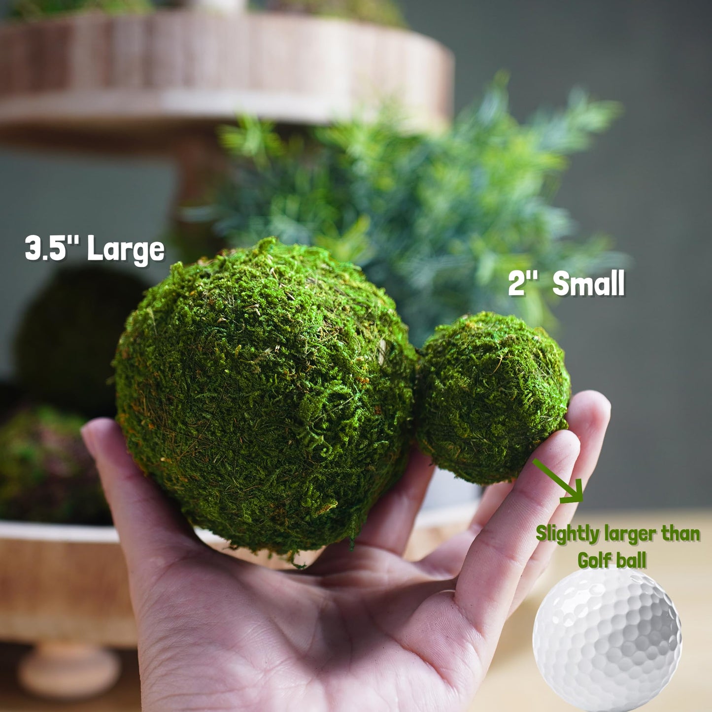 BYHER Natural Green Moss Decorative Ball,Handmade (3.5"-Set of 6)