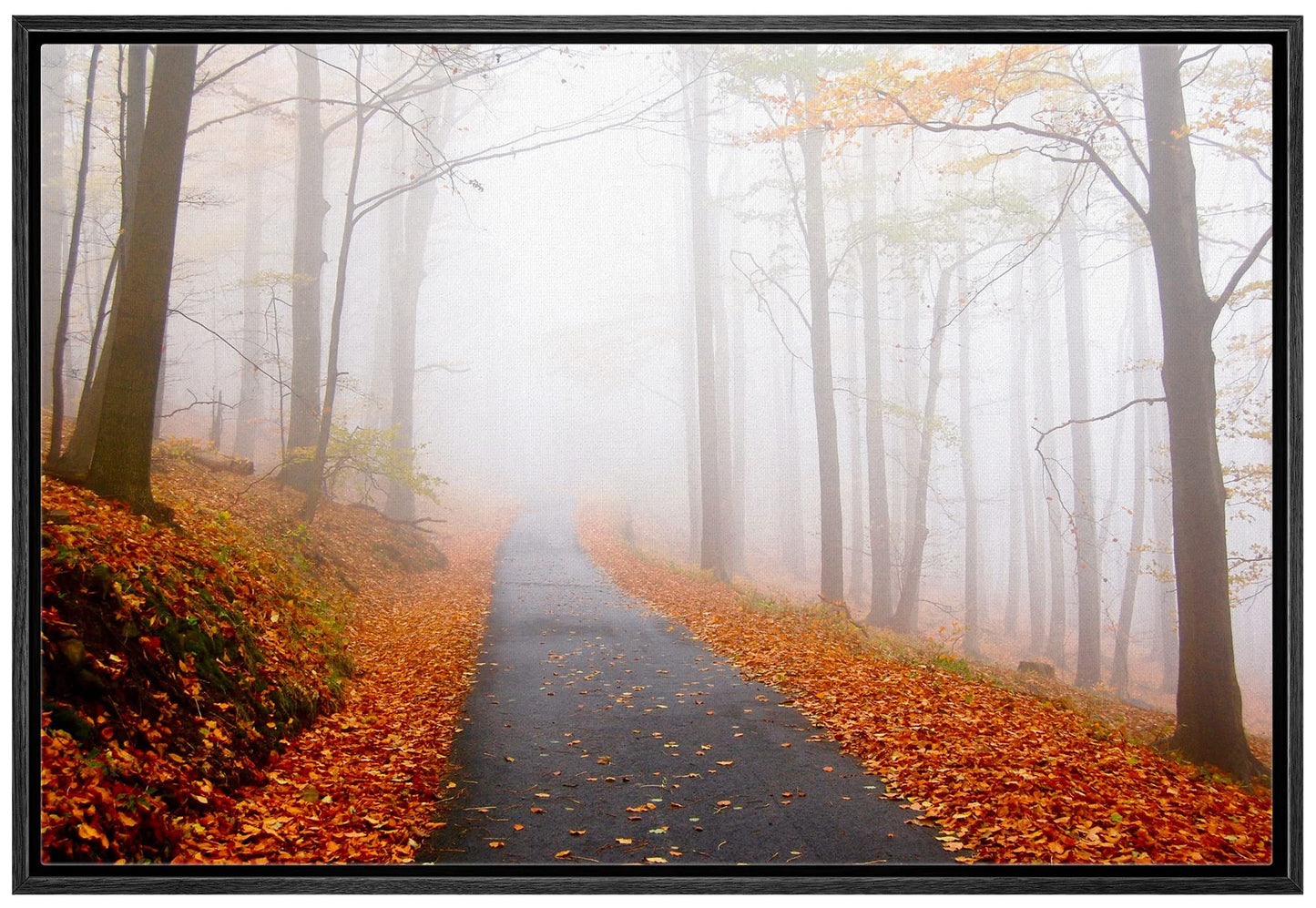 26 Fall Framed Canvas Wall Print