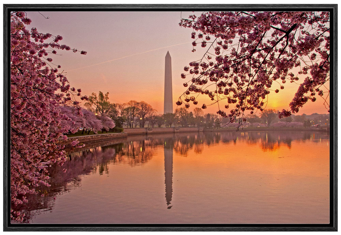 26 Fall Framed Canvas Wall Print