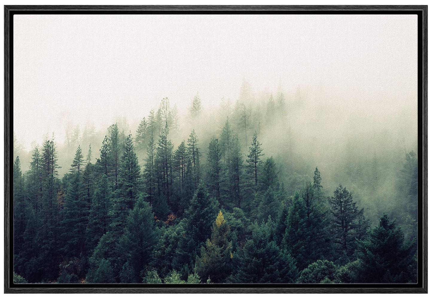 26 Fall Framed Canvas Wall Print