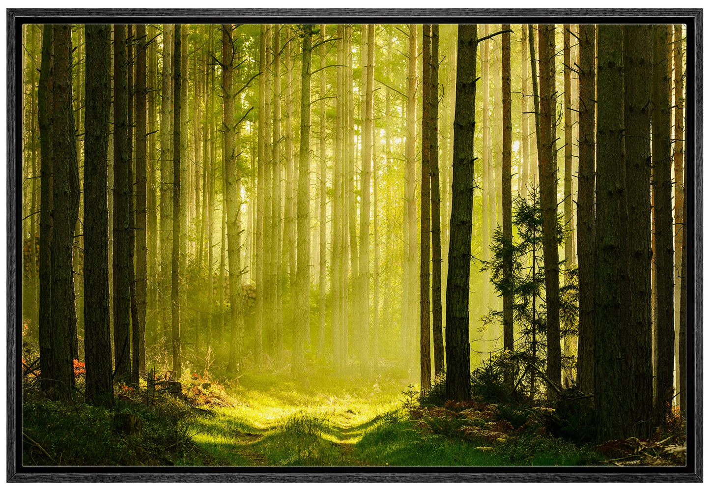 26 Fall Framed Canvas Wall Print
