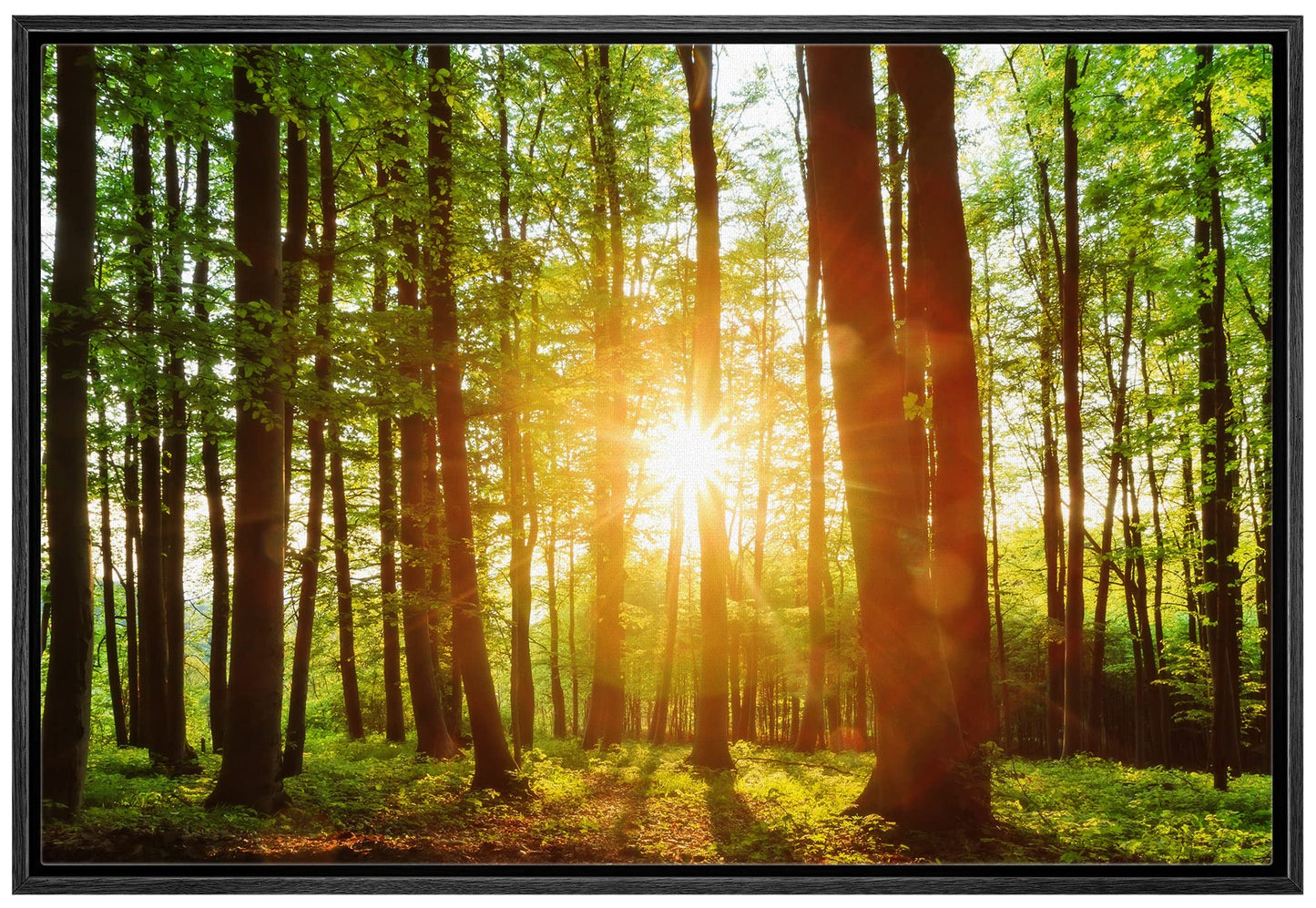 26 Fall Framed Canvas Wall Print