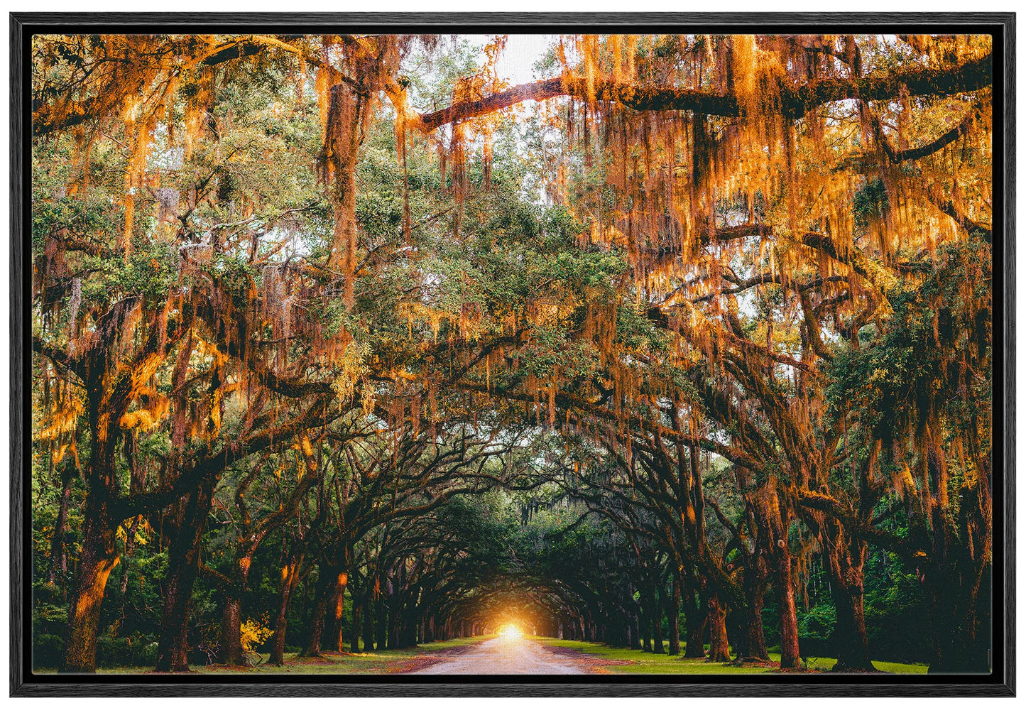 26 Fall Framed Canvas Wall Print