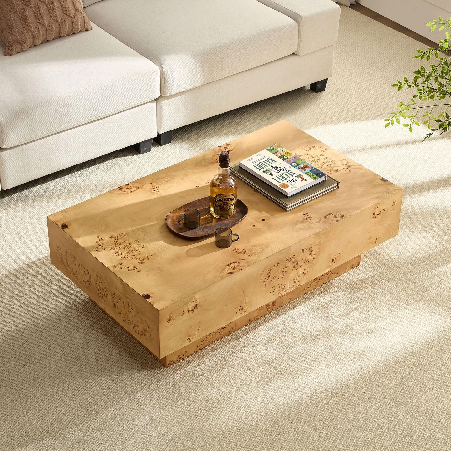 WILLIAMSPACE 43.31" Rectangle Coffee Table with Burl Wood Veneer & Sturdy Base, Modern Luxury Wood Drum Center Table End Table Accent Side Table for Living Room, Minimalist Fluted Design, Oak