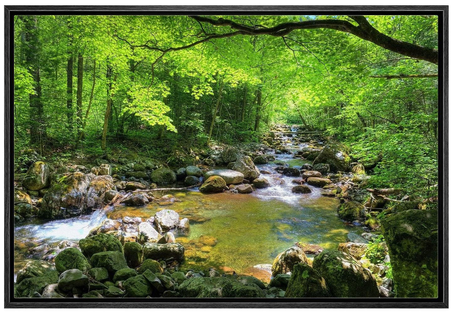 26 Fall Framed Canvas Wall Print