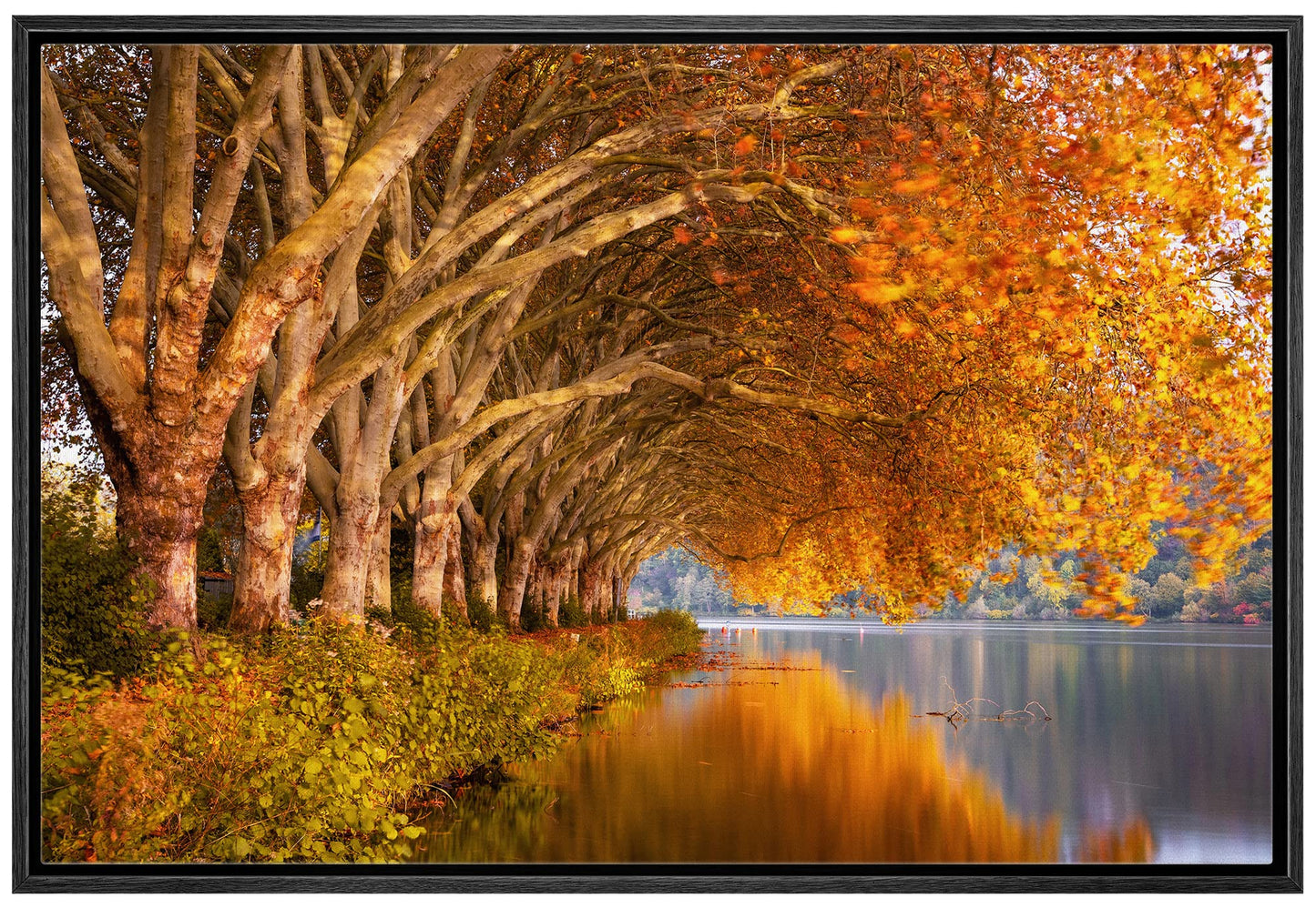 26 Fall Framed Canvas Wall Print