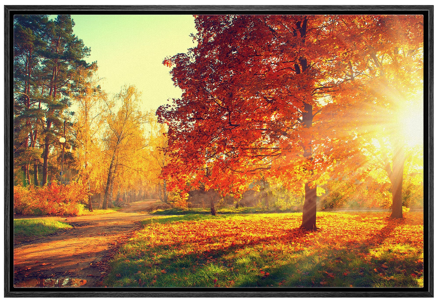 26 Fall Framed Canvas Wall Print