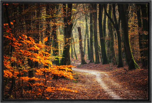 26 Fall Framed Canvas Wall Print
