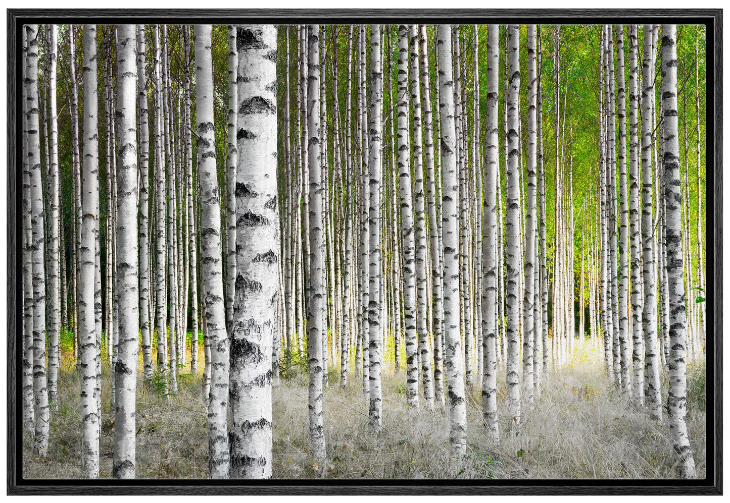 26 Fall Framed Canvas Wall Print