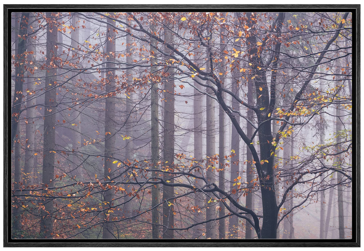 26 Fall Framed Canvas Wall Print