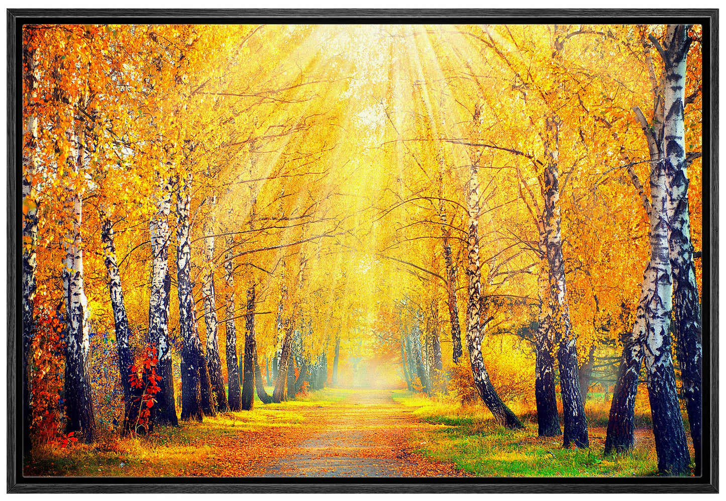 26 Fall Framed Canvas Wall Print